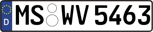 MS-WV5463