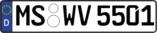MS-WV5501