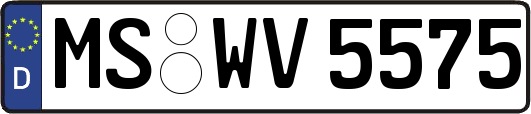 MS-WV5575