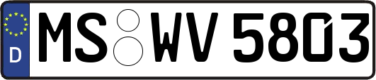 MS-WV5803