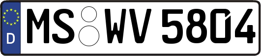 MS-WV5804