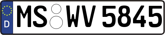 MS-WV5845