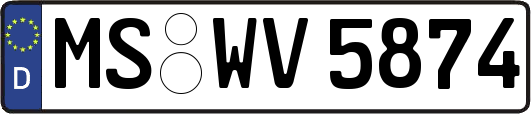MS-WV5874