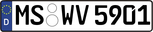 MS-WV5901