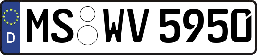MS-WV5950