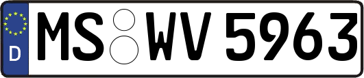 MS-WV5963