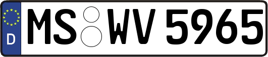 MS-WV5965