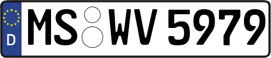 MS-WV5979