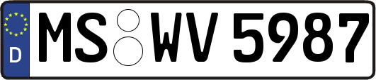 MS-WV5987