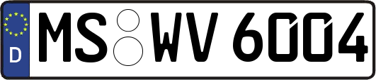 MS-WV6004