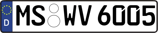MS-WV6005