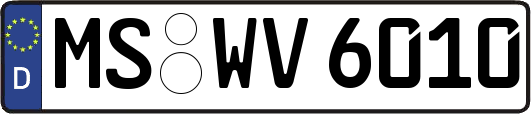 MS-WV6010