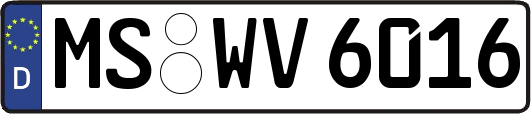 MS-WV6016