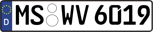 MS-WV6019