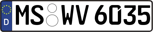 MS-WV6035