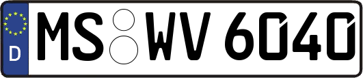 MS-WV6040