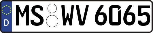 MS-WV6065