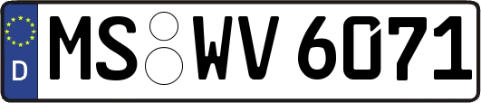 MS-WV6071