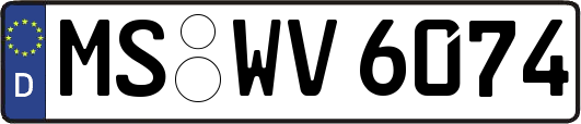 MS-WV6074