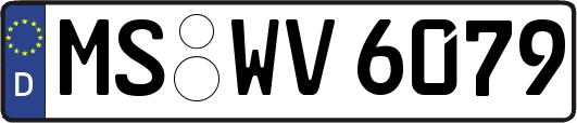 MS-WV6079