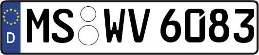MS-WV6083