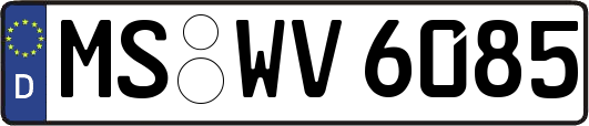 MS-WV6085