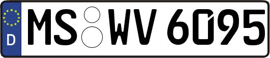 MS-WV6095