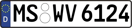 MS-WV6124