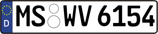 MS-WV6154
