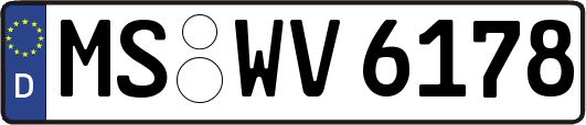 MS-WV6178