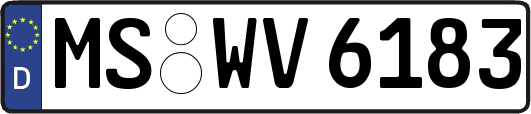 MS-WV6183