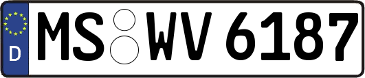 MS-WV6187