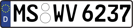 MS-WV6237