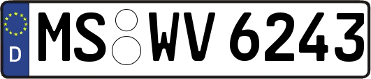 MS-WV6243