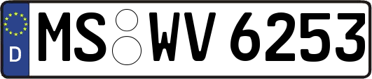 MS-WV6253