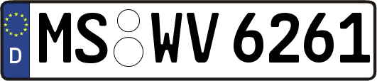 MS-WV6261