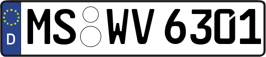 MS-WV6301