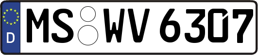 MS-WV6307