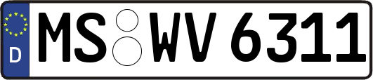 MS-WV6311
