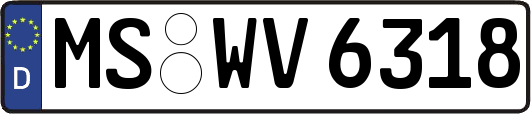 MS-WV6318