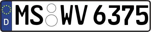 MS-WV6375