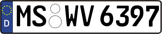 MS-WV6397