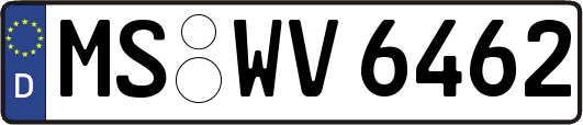 MS-WV6462