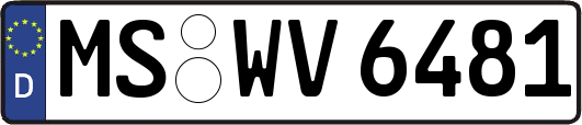 MS-WV6481