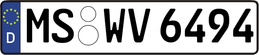 MS-WV6494