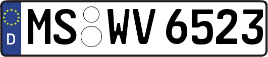 MS-WV6523