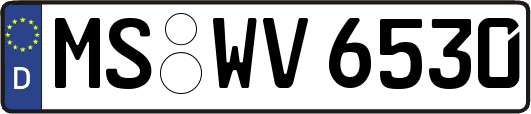 MS-WV6530