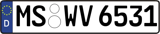 MS-WV6531