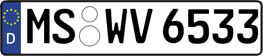 MS-WV6533