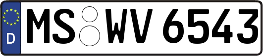 MS-WV6543